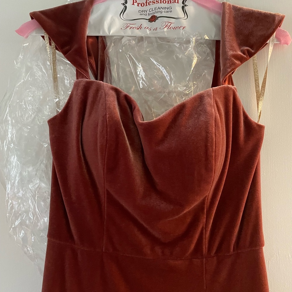 BHLDN Jenny Yoo Issa Velvet bridesmaid Dress - Picture 4 of 15
